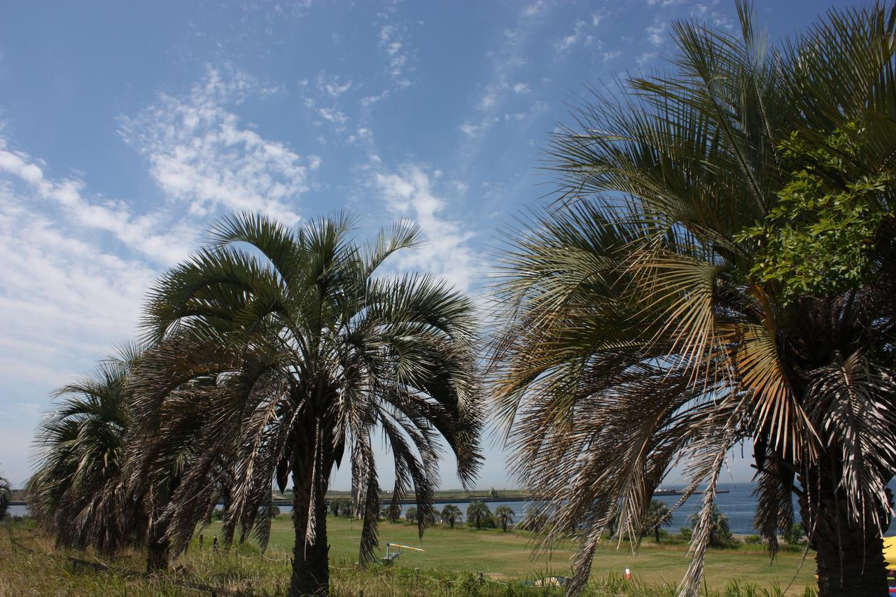 Palm Garden Maishima By Wbf Osaka Exterior photo